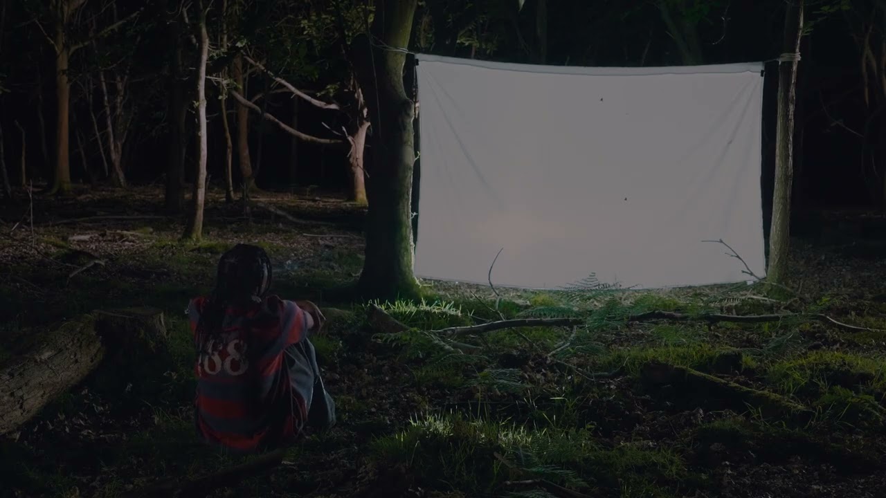 amie-blu-trees-for-the-woods-lyric-video