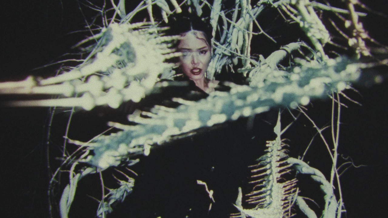 bella-poarch-ribcage-official-music-video