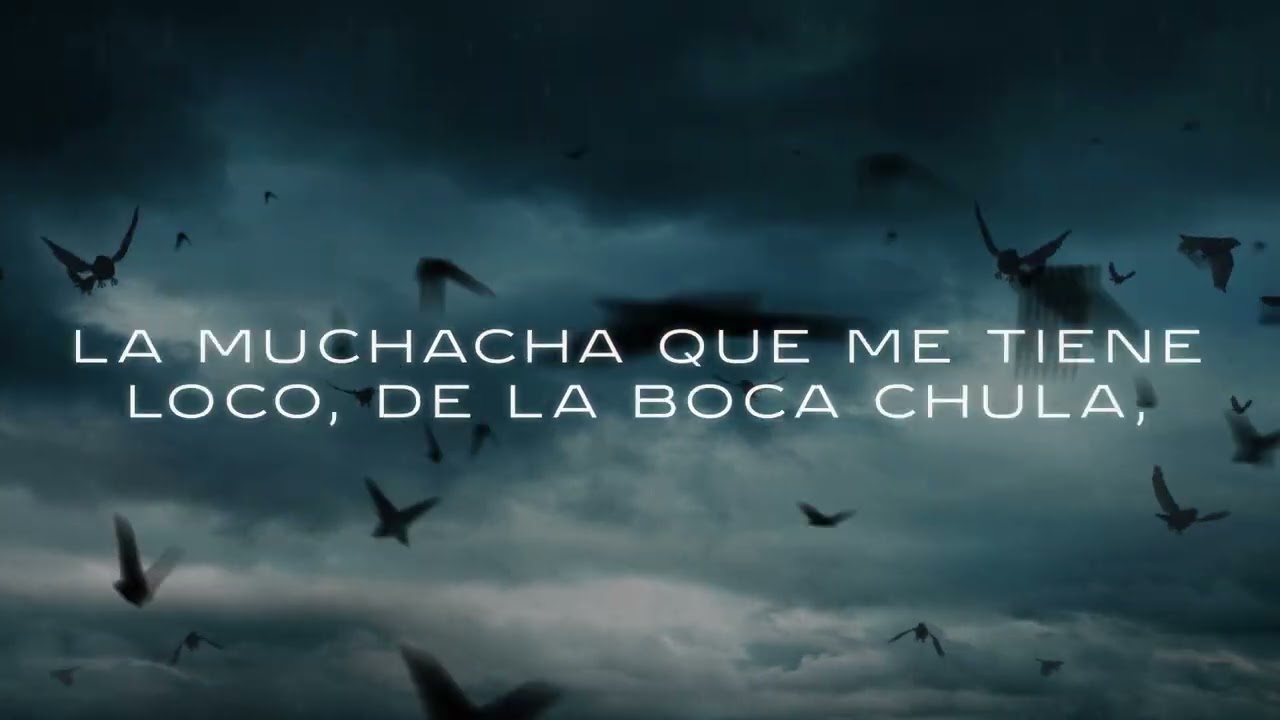 cardi-b-bodega-baddie-lyric-video