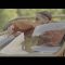 Drake – Sticky (Official Music Video)